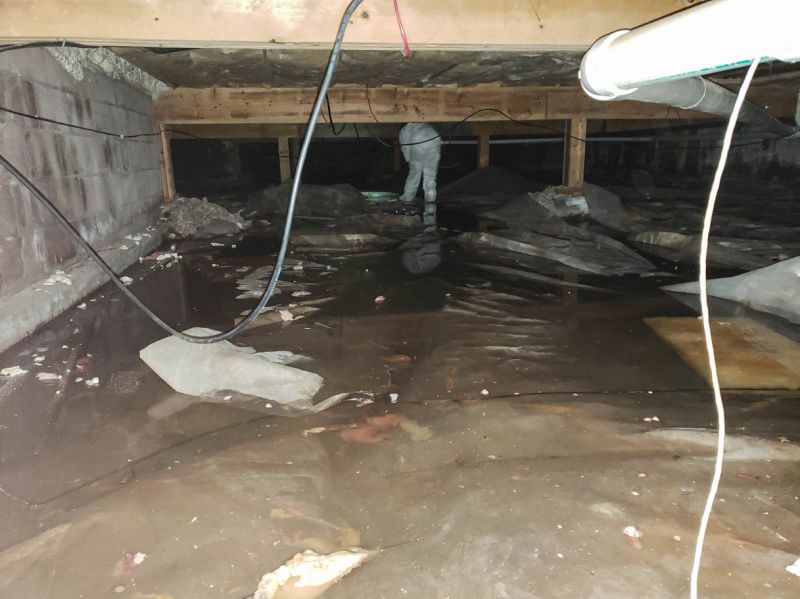 Wet Basement Solutions in Greenville, SC