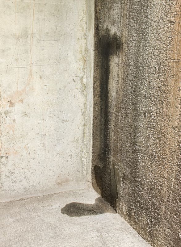 Wet Basement Repair in Fredericksburg, VA